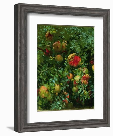 Pomegranates, Majorca, C.1908-John Singer Sargent-Framed Giclee Print