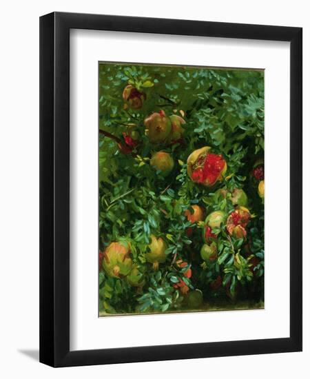 Pomegranates, Majorca, C.1908-John Singer Sargent-Framed Giclee Print