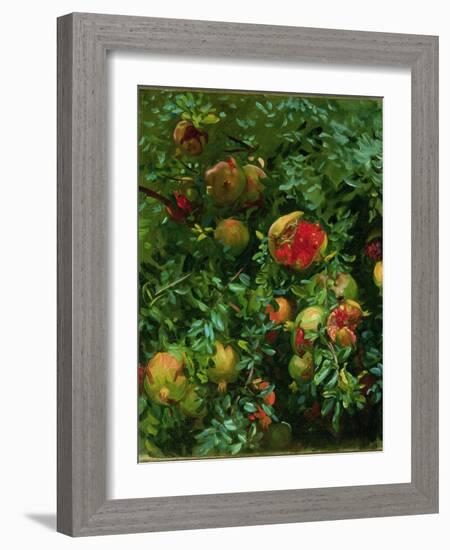 Pomegranates, Majorca, C.1908-John Singer Sargent-Framed Giclee Print