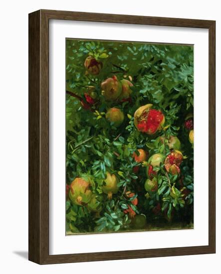 Pomegranates, Majorca, C.1908-John Singer Sargent-Framed Giclee Print