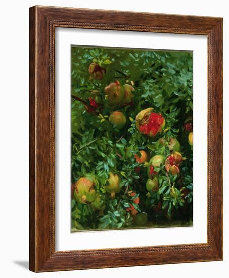 Pomegranates, Majorca, C.1908-John Singer Sargent-Framed Giclee Print