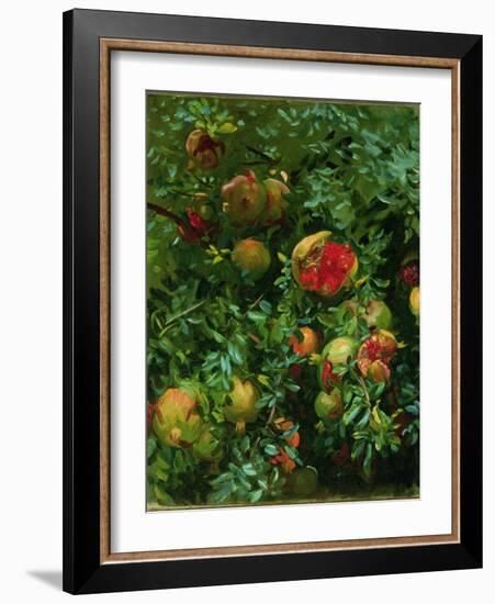 Pomegranates, Majorca, C.1908-John Singer Sargent-Framed Giclee Print