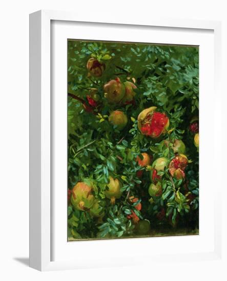 Pomegranates, Majorca, C.1908-John Singer Sargent-Framed Giclee Print