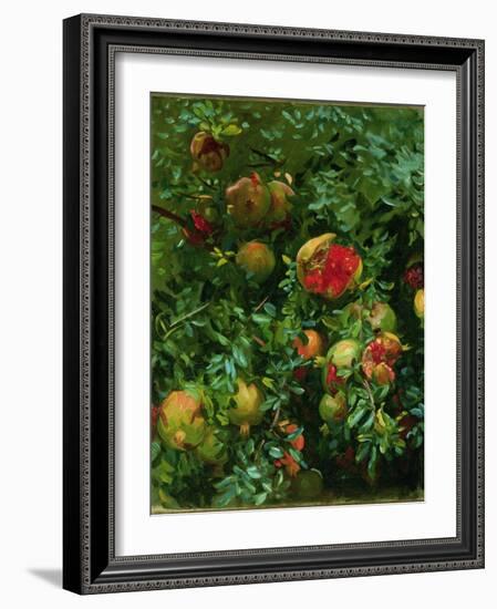 Pomegranates, Majorca, C.1908-John Singer Sargent-Framed Giclee Print