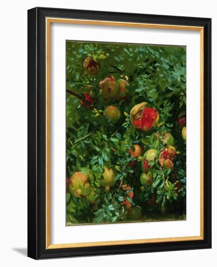 Pomegranates, Majorca, C.1908-John Singer Sargent-Framed Giclee Print