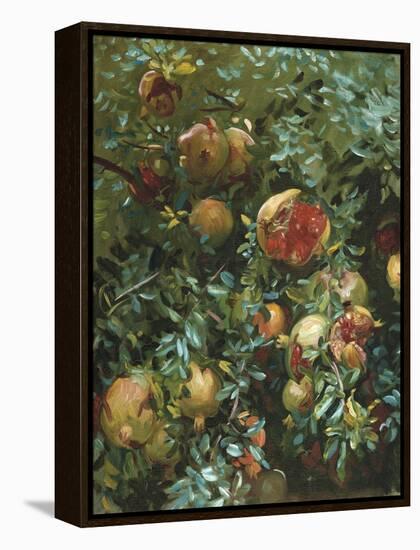 Pomegranates, Majorca-John Singer Sargent-Framed Premier Image Canvas