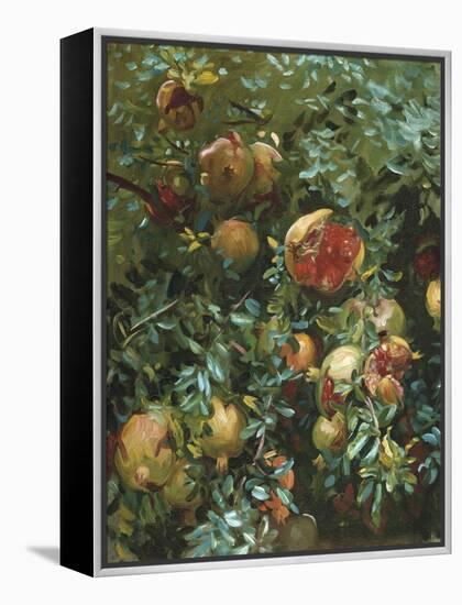 Pomegranates, Majorca-John Singer Sargent-Framed Premier Image Canvas