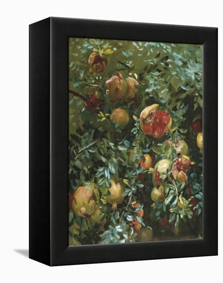 Pomegranates, Majorca-John Singer Sargent-Framed Premier Image Canvas