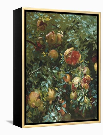 Pomegranates, Majorca-John Singer Sargent-Framed Premier Image Canvas