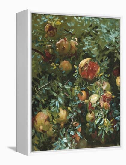 Pomegranates, Majorca-John Singer Sargent-Framed Premier Image Canvas