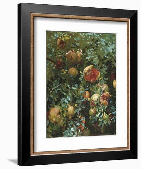 Pomegranates, Majorca-John Singer Sargent-Framed Giclee Print