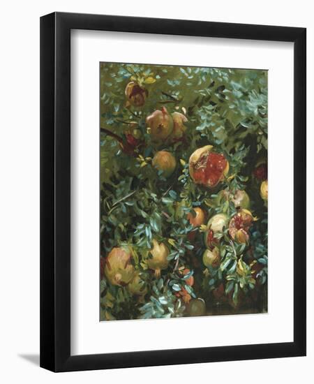 Pomegranates, Majorca-John Singer Sargent-Framed Giclee Print