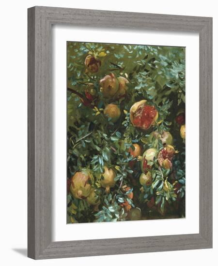 Pomegranates, Majorca-John Singer Sargent-Framed Giclee Print