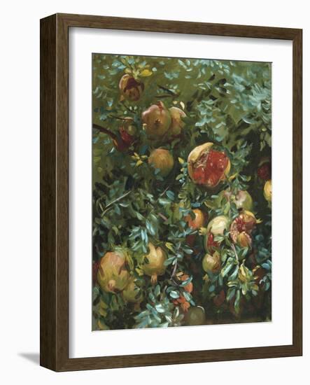 Pomegranates, Majorca-John Singer Sargent-Framed Giclee Print