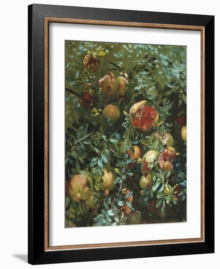 Pomegranates, Majorca-John Singer Sargent-Framed Giclee Print