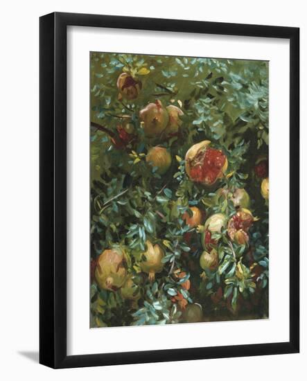 Pomegranates, Majorca-John Singer Sargent-Framed Giclee Print