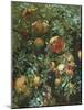 Pomegranates, Majorca-John Singer Sargent-Mounted Giclee Print