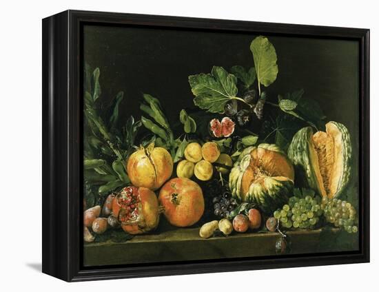 Pomegranates, Melons, Grapes, Peaches, Figs and Other Fruits on a Stone Ledge-null-Framed Premier Image Canvas