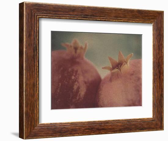 Pomegranates-Jennifer Kennard-Framed Photographic Print