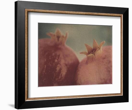 Pomegranates-Jennifer Kennard-Framed Photographic Print