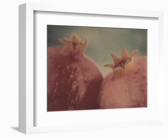 Pomegranates-Jennifer Kennard-Framed Photographic Print