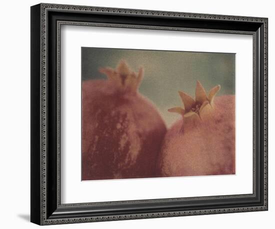 Pomegranates-Jennifer Kennard-Framed Photographic Print