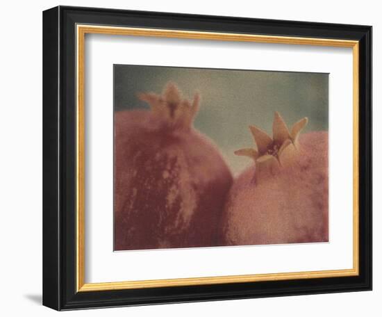 Pomegranates-Jennifer Kennard-Framed Photographic Print