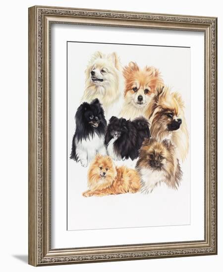 Pomeraneian-Barbara Keith-Framed Giclee Print