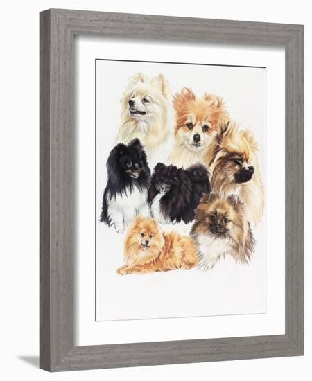 Pomeraneian-Barbara Keith-Framed Giclee Print