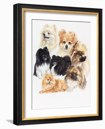 Pomeraneian-Barbara Keith-Framed Giclee Print