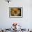 Pomeranian Portrait-Adriano Bacchella-Framed Photographic Print displayed on a wall