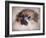 Pomeranian Portrait-Jai Johnson-Framed Giclee Print