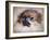 Pomeranian Portrait-Jai Johnson-Framed Giclee Print