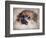 Pomeranian Portrait-Jai Johnson-Framed Giclee Print