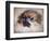 Pomeranian Portrait-Jai Johnson-Framed Giclee Print