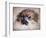 Pomeranian Portrait-Jai Johnson-Framed Giclee Print