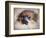 Pomeranian Portrait-Jai Johnson-Framed Giclee Print