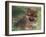 Pomeranian Puppy on Grass-Adriano Bacchella-Framed Photographic Print