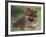 Pomeranian Puppy on Grass-Adriano Bacchella-Framed Photographic Print