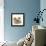 Pomeranian, Three Sitting, One Puppy, Studio Shot-null-Framed Premier Image Canvas displayed on a wall