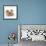 Pomeranian, Three Sitting, One Puppy, Studio Shot-null-Framed Photographic Print displayed on a wall