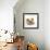 Pomeranian, Three Sitting, One Puppy, Studio Shot-null-Framed Photographic Print displayed on a wall