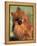 Pomeranian with Head Cocked to One Side-Adriano Bacchella-Framed Premier Image Canvas