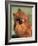 Pomeranian with Head Cocked to One Side-Adriano Bacchella-Framed Photographic Print