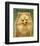 Pomeranian-John W^ Golden-Framed Art Print