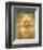 Pomeranian-John W^ Golden-Framed Art Print