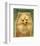 Pomeranian-John W^ Golden-Framed Art Print