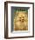 Pomeranian-John W^ Golden-Framed Art Print