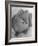 Pomeranian-Alfred Eisenstaedt-Framed Photographic Print