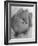 Pomeranian-Alfred Eisenstaedt-Framed Photographic Print